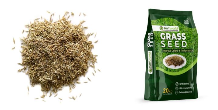 Will Grass Seed Grow On Top Of Soil grass seed