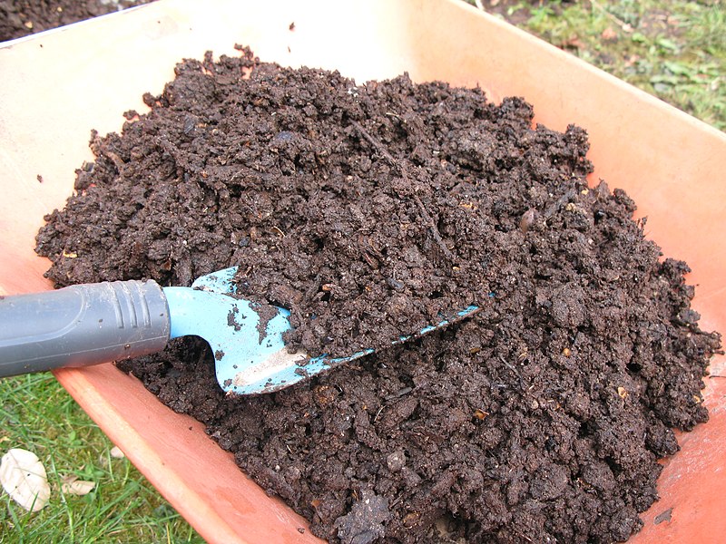 Topsoil vs Compost - blend
