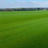 turf-turfworld-turf-roll-buy-turf-field