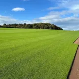 turf-turfworld-turf-roll-buy-turf-field-turf-cut