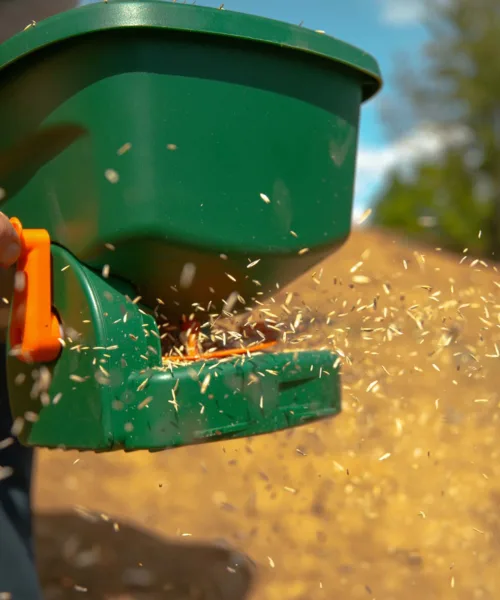 Turfworld_Grass-Seed_Grass-Seed-Application