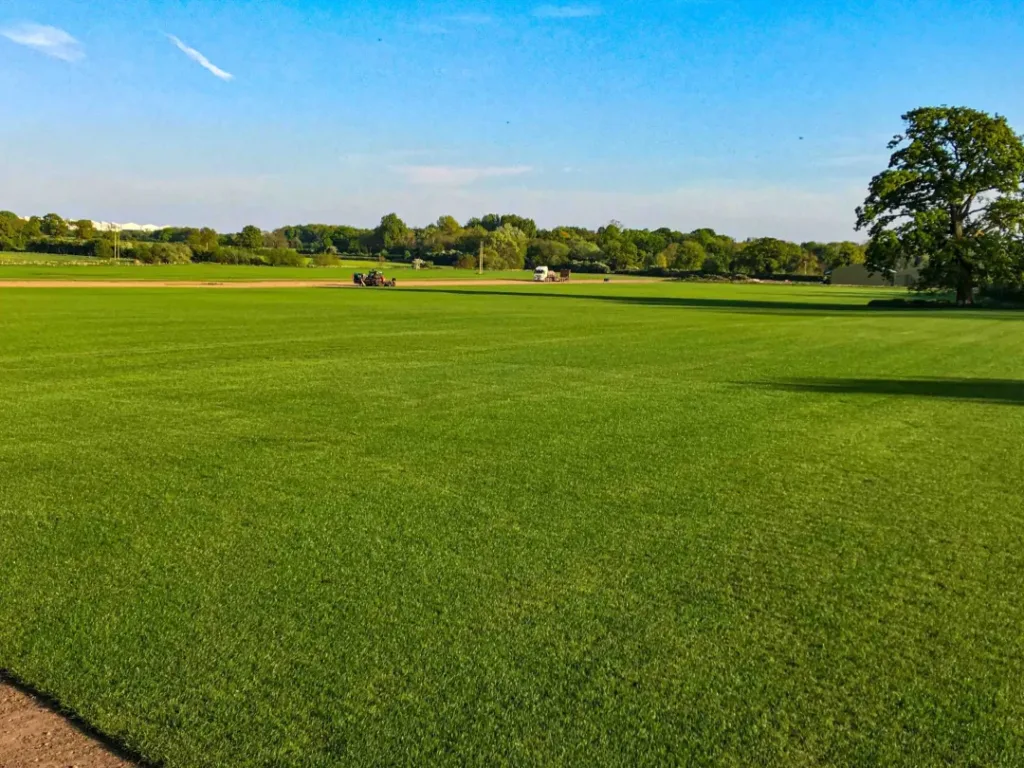 Turfworld_Landscaping_Wolverhampton_About-Us_Land-scaled